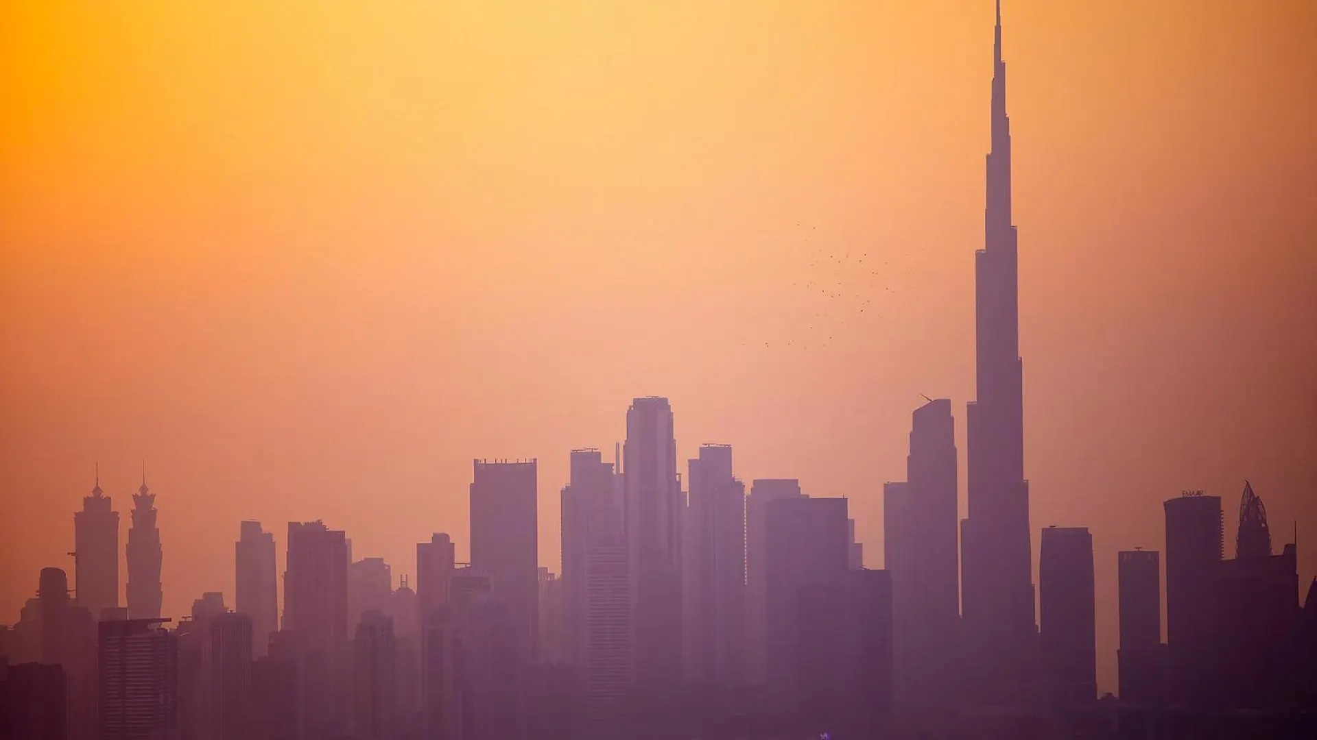 Luxury Apartments At Vida Residences Dubai